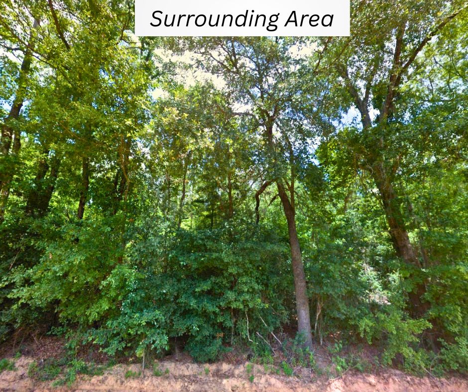 934 photos